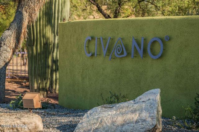 10373 E Loveless Gardner Lane, Tucson, AZ 85747