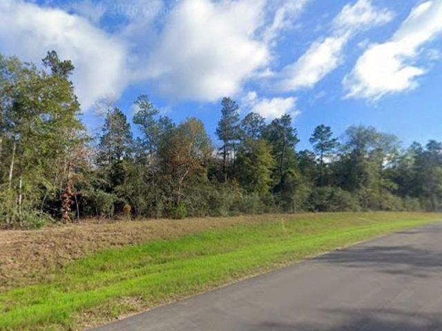 16062 Four Hills Road, Willis, TX 77378