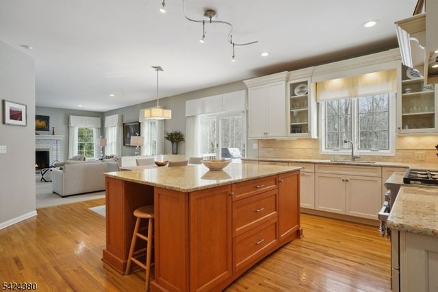 13 Obrien Ct, Bedminster Twp., NJ 07921