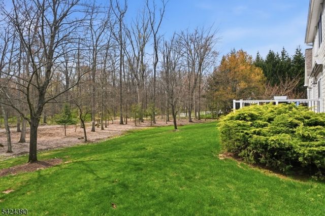 13 Obrien Ct, Bedminster Twp., NJ 07921