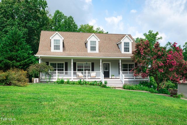 263 Holland View Drive, Jonesborough, TN 37659