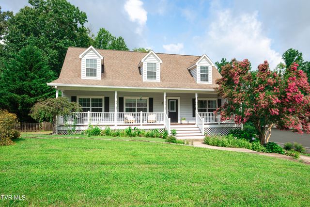 263 Holland View Drive, Jonesborough, TN 37659
