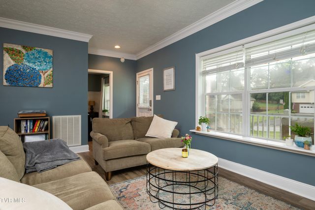 263 Holland View Drive, Jonesborough, TN 37659