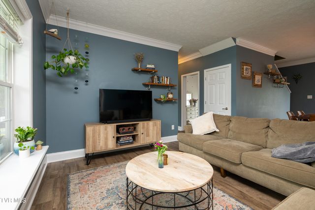 263 Holland View Drive, Jonesborough, TN 37659