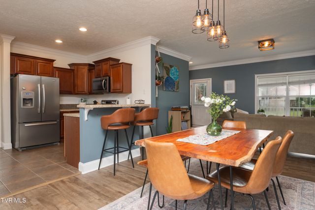 263 Holland View Drive, Jonesborough, TN 37659