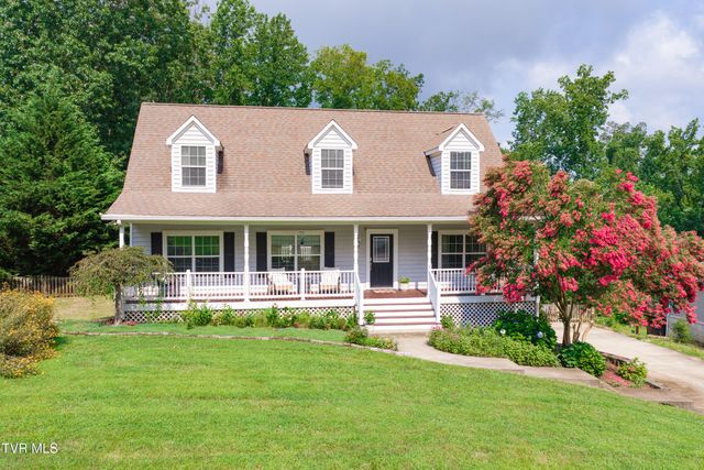 263 Holland View Drive, Jonesborough, TN 37659