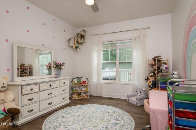 263 Holland View Drive, Jonesborough, TN 37659