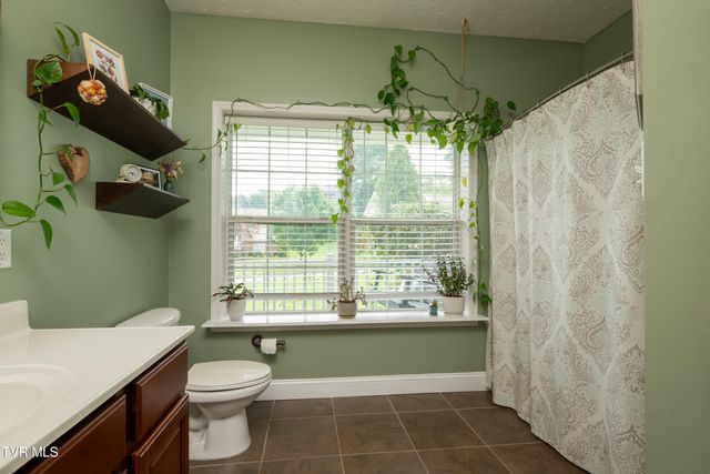 263 Holland View Drive, Jonesborough, TN 37659
