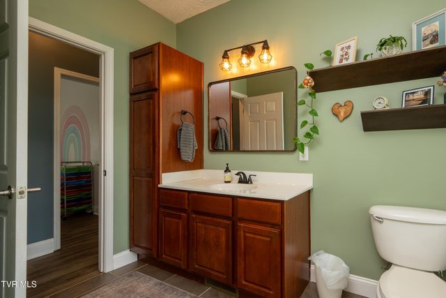 263 Holland View Drive, Jonesborough, TN 37659