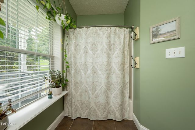 263 Holland View Drive, Jonesborough, TN 37659