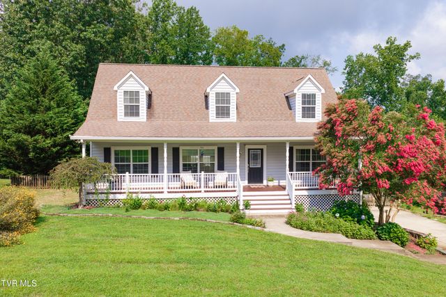 263 Holland View Drive, Jonesborough, TN 37659