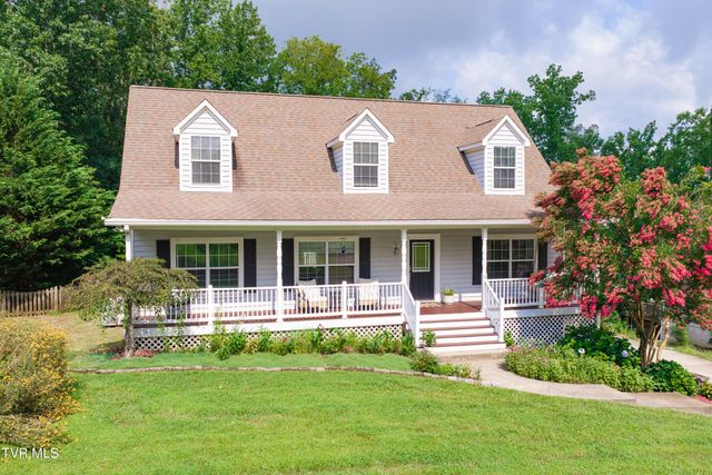 263 Holland View Drive, Jonesborough, TN 37659