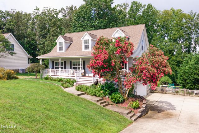 263 Holland View Drive, Jonesborough, TN 37659