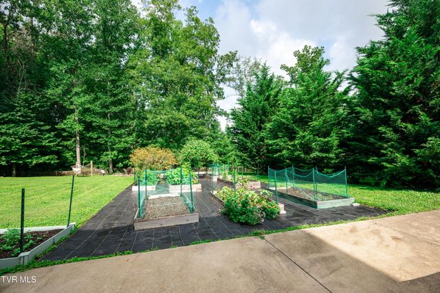 263 Holland View Drive, Jonesborough, TN 37659