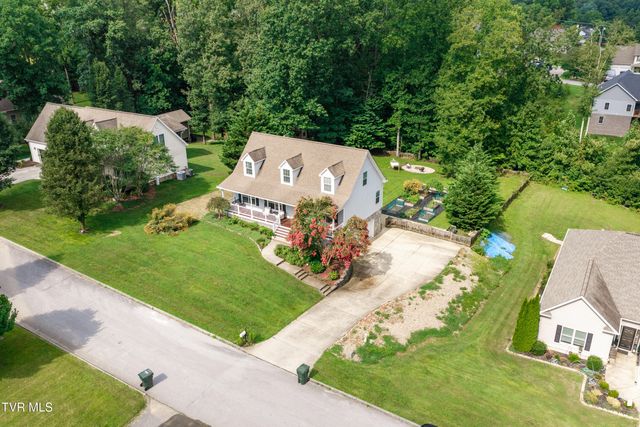 263 Holland View Drive, Jonesborough, TN 37659