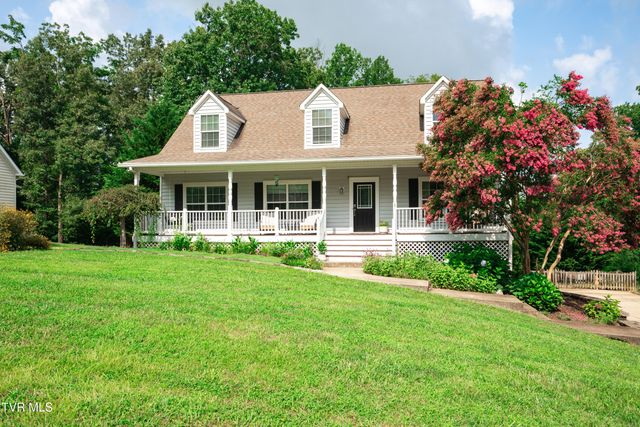 263 Holland View Drive, Jonesborough, TN 37659