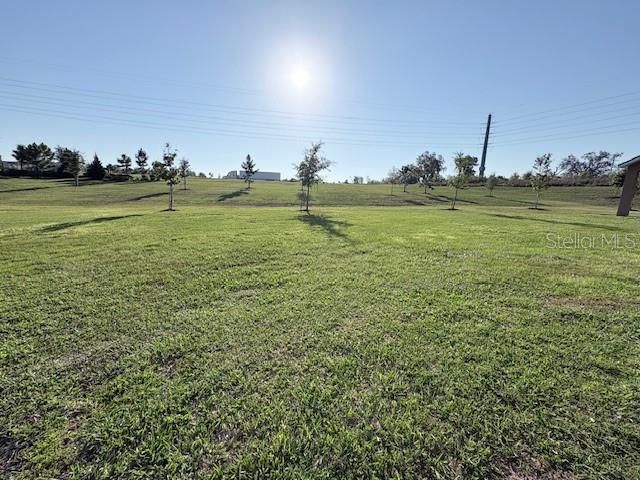 2668 SPIDER LILY COURT, Clermont, FL 34711