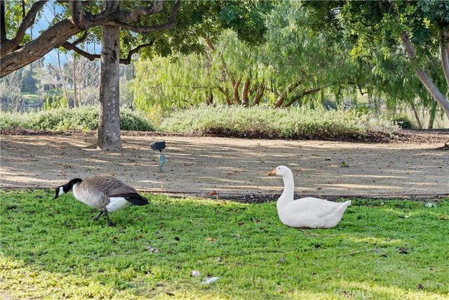 15111 Pipeline 260, Chino Hills, CA 91709
