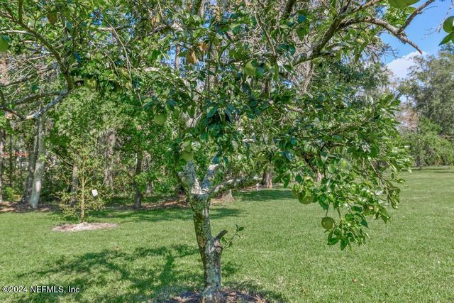 413 RIVER BIRCH Lane, Fleming Island, FL 32003