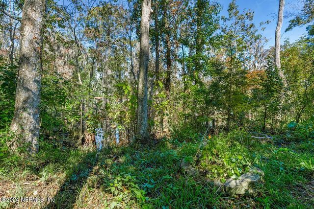 413 RIVER BIRCH Lane, Fleming Island, FL 32003