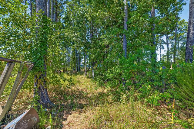 1289 Road 5100, Cleveland, TX 77327