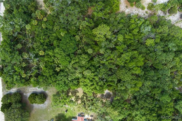 15085 W Roosters Crow Road, Inglis, FL 34449