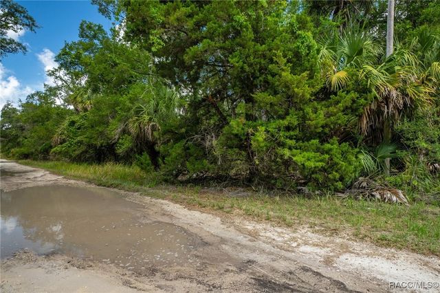 15085 W Roosters Crow Road, Inglis, FL 34449