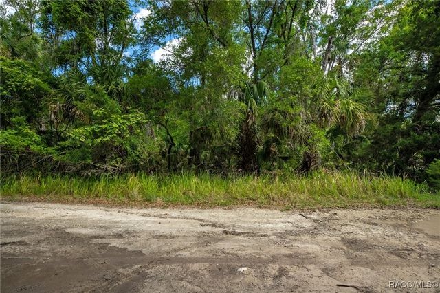 15085 W Roosters Crow Road, Inglis, FL 34449