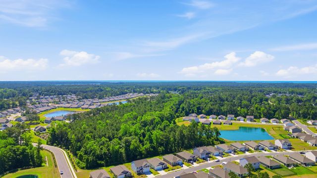 250 Hollandbush Dr., Little River, SC 29566