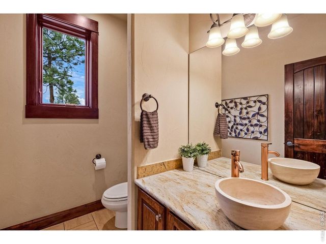 1782 Tulip Tree Pl, Castle Rock, CO 80108
