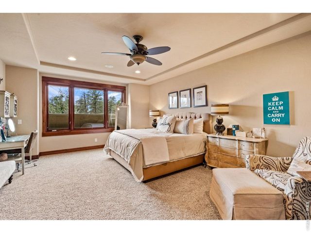 1782 Tulip Tree Pl, Castle Rock, CO 80108