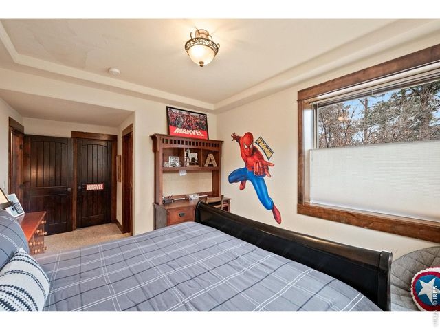 1782 Tulip Tree Pl, Castle Rock, CO 80108