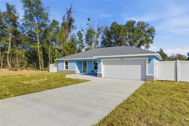 13587 SE 49TH AVENUE, Summerfield, FL 34491