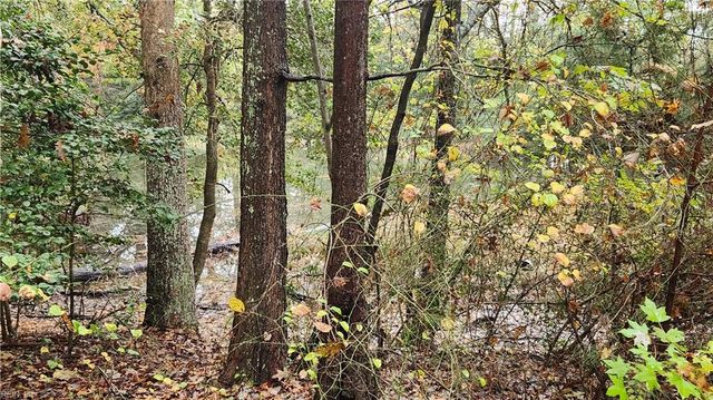 302 Sandberg LN, Cardinal, VA 23025