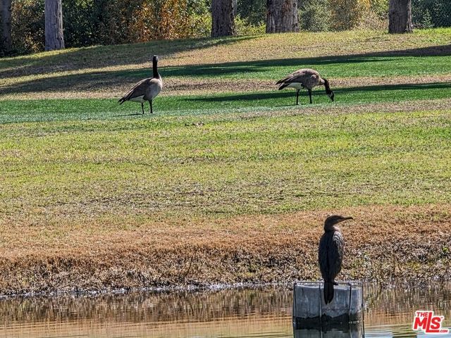 3081 Regency Drive, Palm Springs, CA 92264