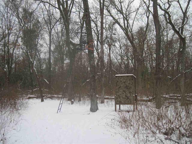 1197 S Cree Dr, Friendship, WI 53934