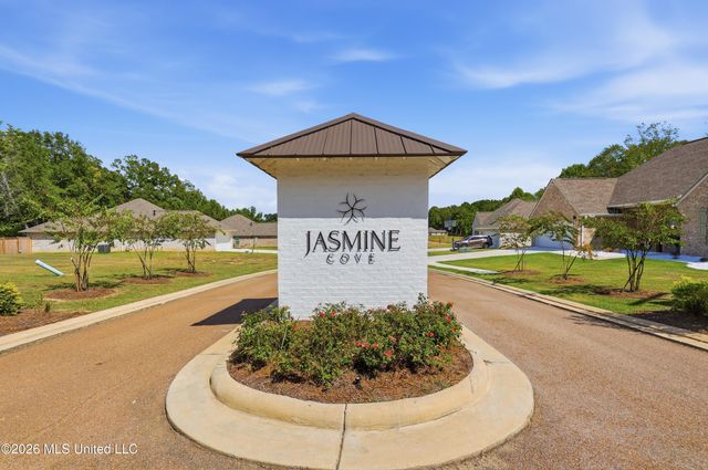 226 Jasmine Cove Circle, Brandon, MS 39042