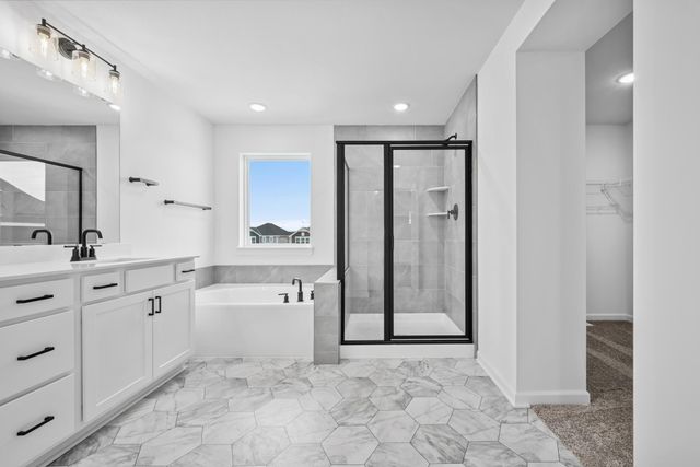 1123 151st Street, Rosemount, MN 55068