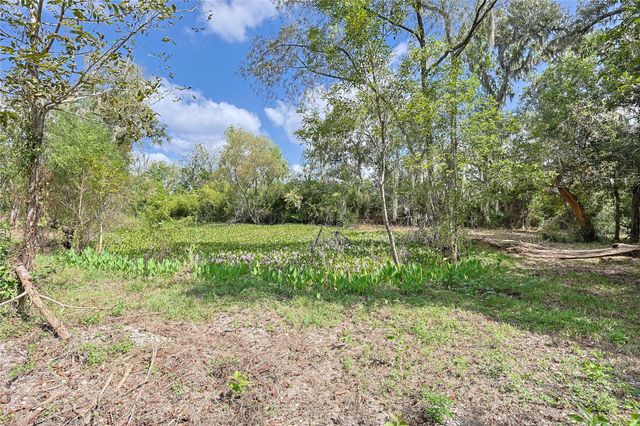 6306 County Road 244, Brazoria, TX 77422