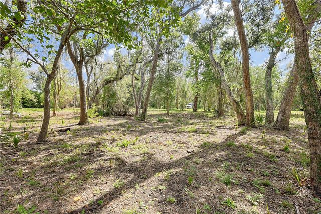 6306 County Road 244, Brazoria, TX 77422