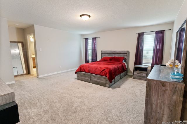 3006 old almonte, San Antonio, TX 78224