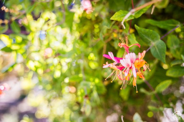 3134 E 3500 S, Vernal, UT 84078