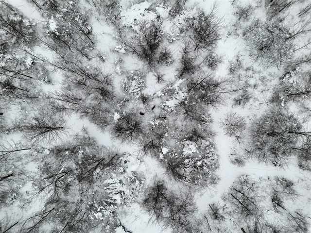 10886 Douglas Drive, Allendale, MI 49401