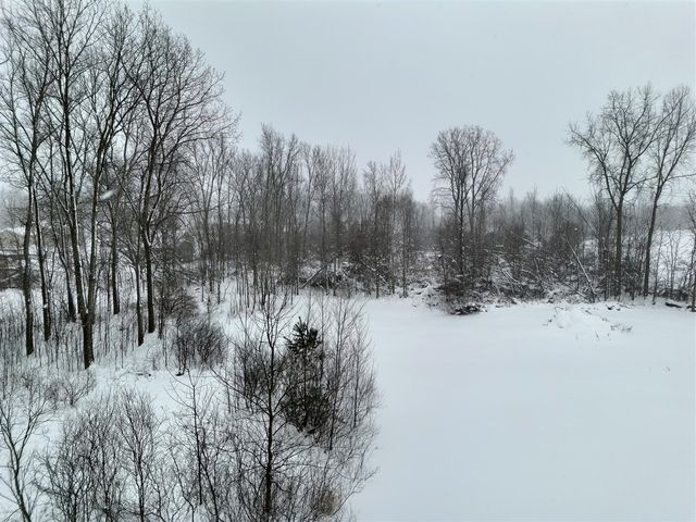 10886 Douglas Drive, Allendale, MI 49401