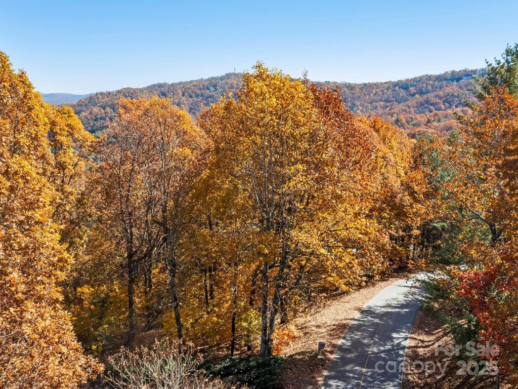 707 Overlook Drive, Flat Rock, NC 28731