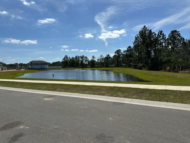 417 CEDAR KEY, Davenport, FL 33837