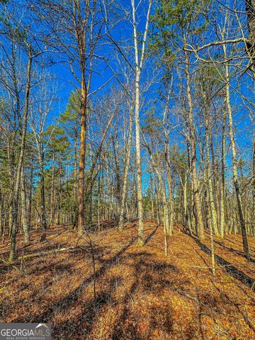 0 River Highlands Road, Dahlonega, GA 30533