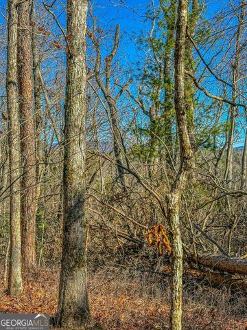 0 River Highlands Road, Dahlonega, GA 30533