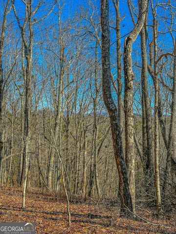 0 River Highlands Road, Dahlonega, GA 30533