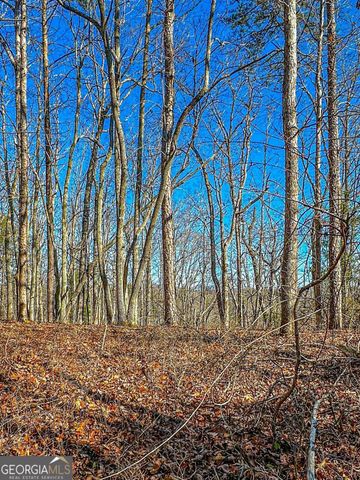 0 River Highlands Road, Dahlonega, GA 30533